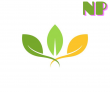 Công Ty TNHH Sản Xuất Và Thương Mại NP