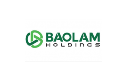 Công Ty TNHH Đầu Tư Và Quản Lý Bảo Lâm Holdings 