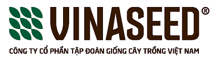 Công Ty Cổ Phần Tập Đoàn Giống Cây Trồng VIệt Nam