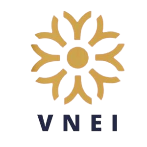 Công ty Cổ phần Trí tuệ Giáo dục Việt Nam