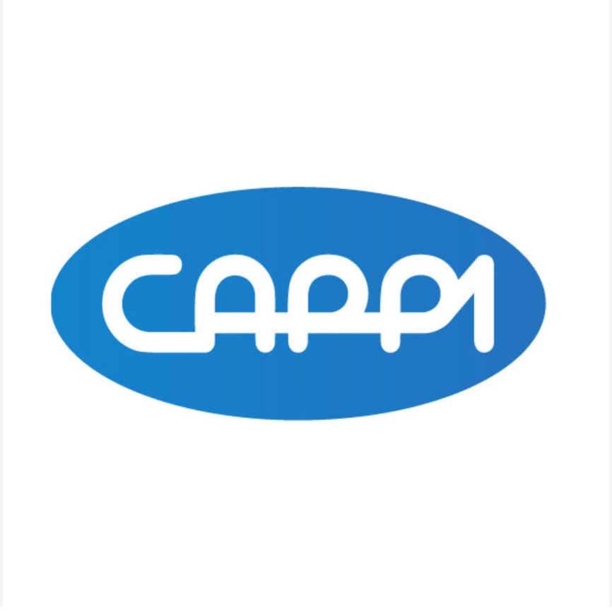 Công ty Cổ phần Tập đoàn Công nghệ Cappi Việt Nam