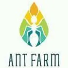 Công Ty TNHH MTV Ant Farm