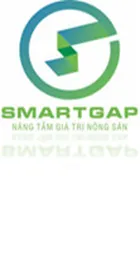 Công Ty Cổ Phần SmartGap Holding