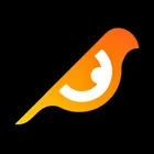 Birdeye.so