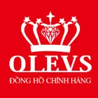 Công Ty Cổ Phần Đồng Hồ Olevs Việt Nam