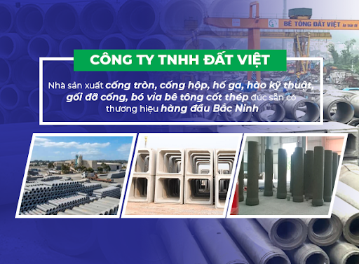 Công Ty TNHH Đất Việt CGS