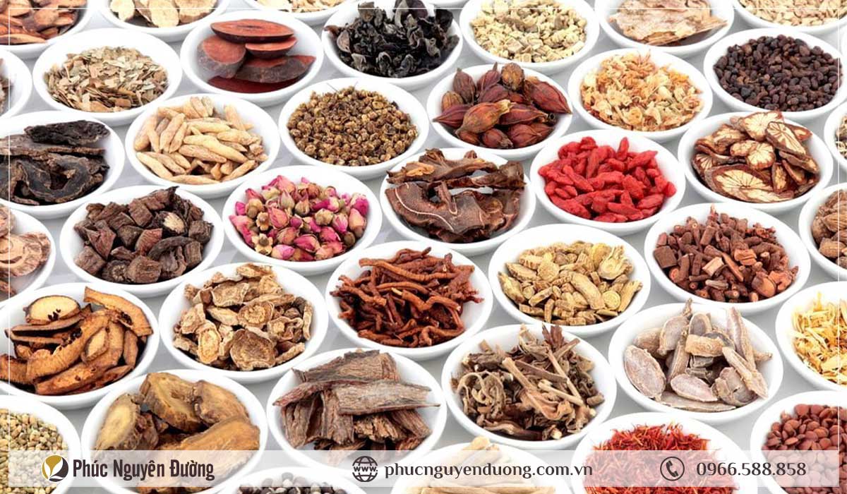 Công ty TNHH Đức Nhân Đường