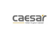 Công Ty Cổ Phần Thiết Bị Vệ Sinh Caesar Việt Nam