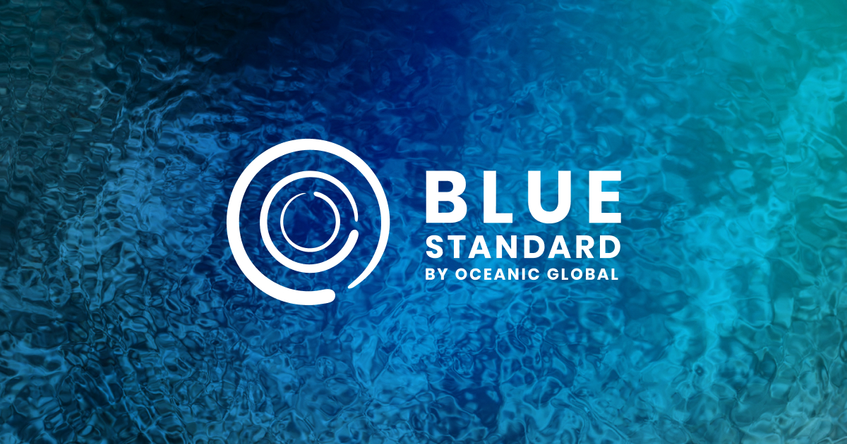 CÔNG TY TNHH CÔNG NGHỆ BLUE VIỆT NAM