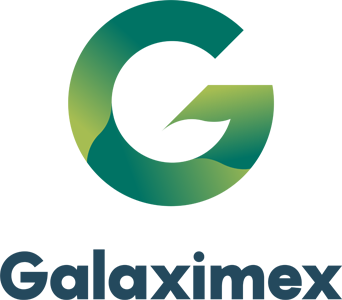 GALAXY HANDICRAFT IMPORT EXPORT COMPANY LIMITED