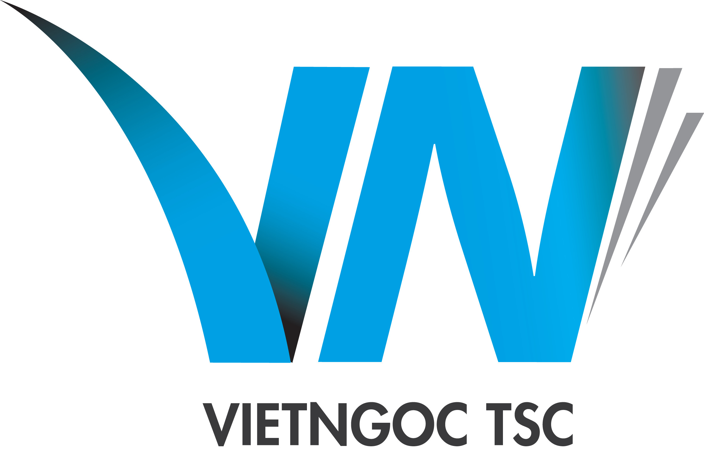 Công ty cổ phần nhân lực quốc tế Việt Ngọc